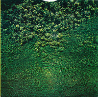 Midnight Oil : Place Without A Postcard (LP, Album)