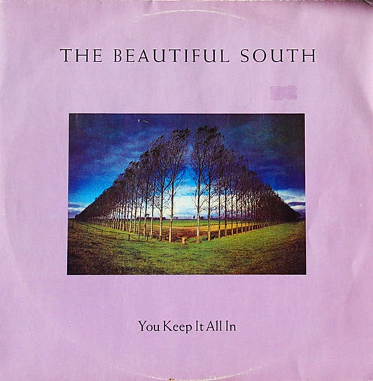 The Beautiful South : You Keep It All In (12", Single)