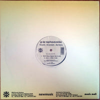 Paraphonatic : The Past...The Present...The Future (12")