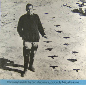 C. Newman* : Trackways Made By Two Dinosaurs, Probably Megalosaurus (LP)