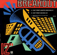 Mr. Lee : I Can't Forget (Haunted House Mix) (12")