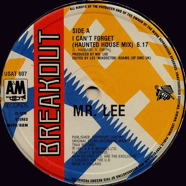 Mr. Lee : I Can't Forget (Haunted House Mix) (12")