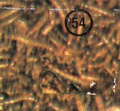 Kongas : Africanism (LP, RE)