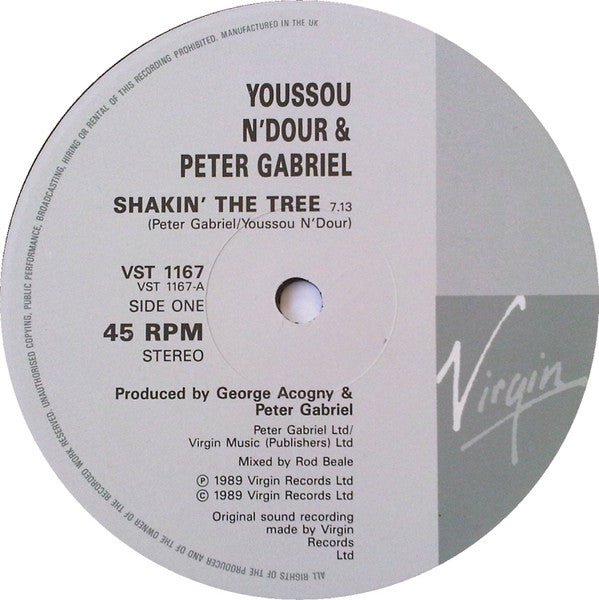 Youssou N'Dour & Peter Gabriel : Shakin' The Tree (12", Single)