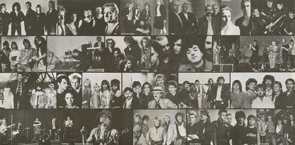 Various : Das Album - Rock-Bilanz 1988 (2xLP, Comp, Gat)