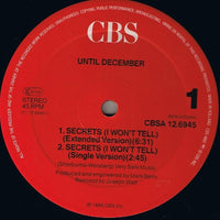 Until December : Secrets (I Won't Tell) (12", Maxi)