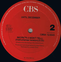 Until December : Secrets (I Won't Tell) (12", Maxi)