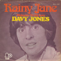 Davy Jones : Rainy Jane (7", Single)