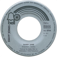 Davy Jones : Rainy Jane (7", Single)