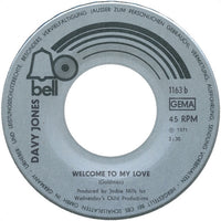 Davy Jones : Rainy Jane (7", Single)