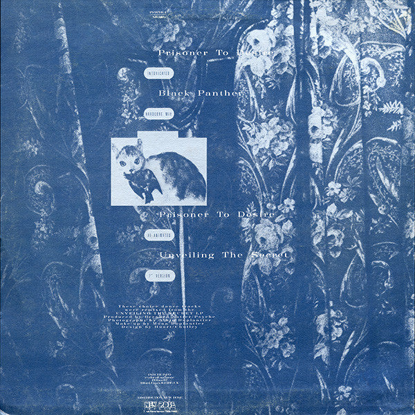 Psyche (2) : Prisoner To Desire / Black Panther (12")