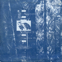 Psyche (2) : Prisoner To Desire / Black Panther (12")