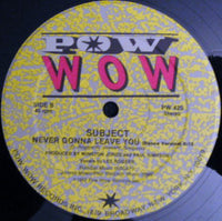 Subject : Never Gonna Leave You (12")