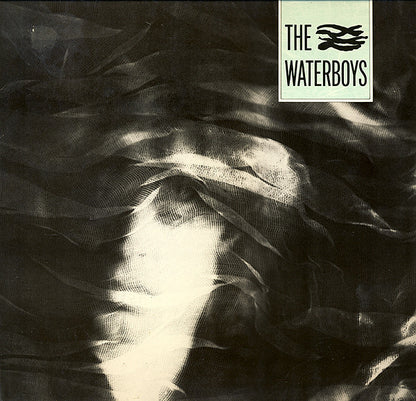 The Waterboys : The Waterboys (LP, Album)