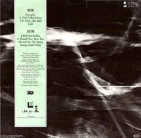 The Waterboys : The Waterboys (LP, Album)