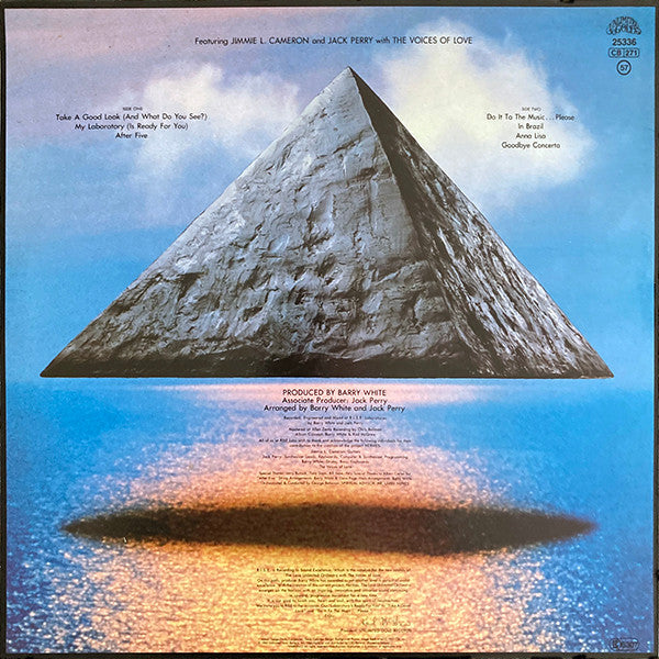 The Love Unlimited Orchestra* : Rise (LP, Album)