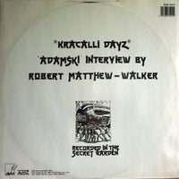 Legion Of Dynamic Diskord : Rebel Rebel (12")