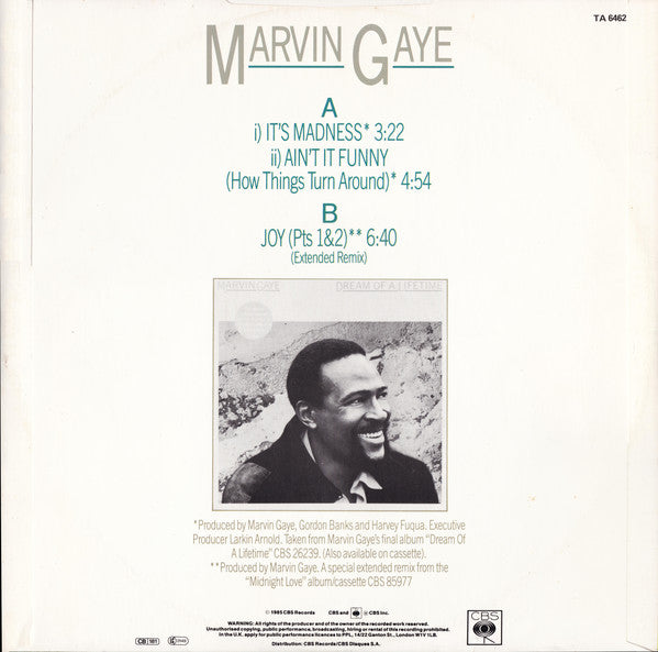 Marvin Gaye : It's Madness (12")