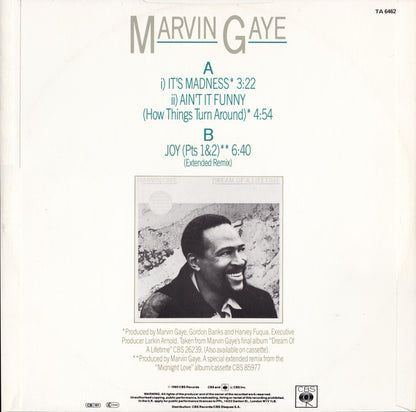 Marvin Gaye : It's Madness (12")