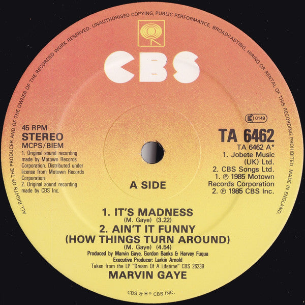 Marvin Gaye : It's Madness (12")