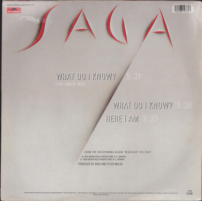Saga (3) : What Do I Know? (12", Maxi)