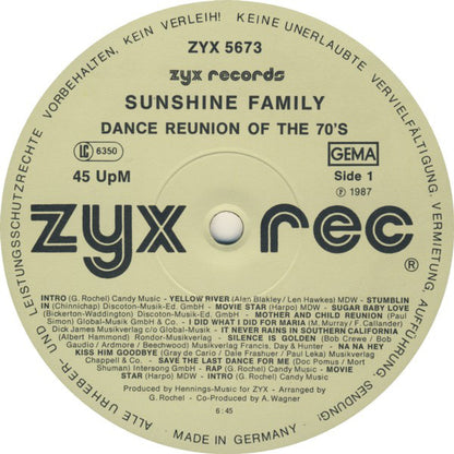 Sunshine Family : Dance Reunion Of The 70's (12", Maxi)