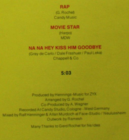 Sunshine Family : Dance Reunion Of The 70's (12", Maxi)