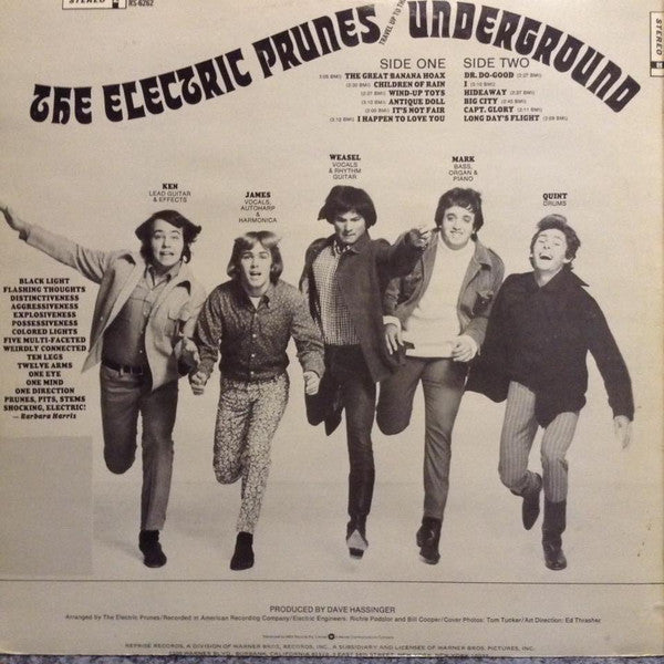The Electric Prunes : Underground (LP, RE)