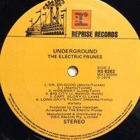 The Electric Prunes : Underground (LP, RE)
