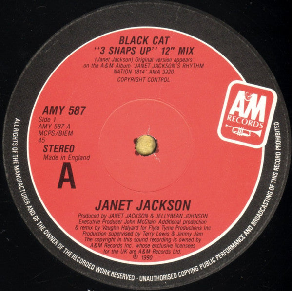 Janet Jackson : Black Cat (12", Single)