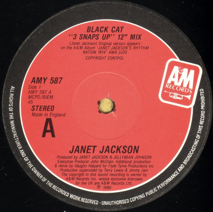 Janet Jackson : Black Cat (12", Single)