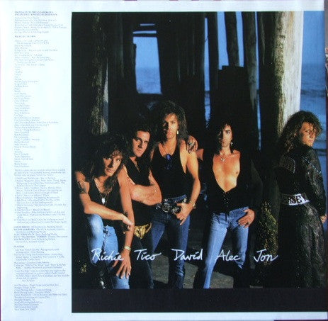Bon Jovi : New Jersey (LP, Album)