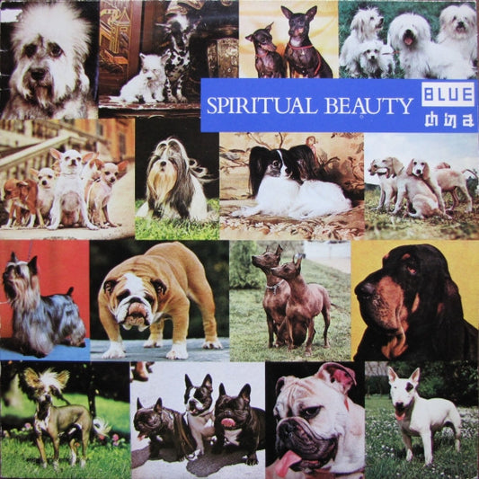 Blue China : Spiritual Beauty (LP, Album)
