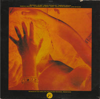 The Dance : In Lust (LP, Album)