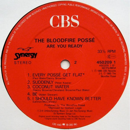 The Bloodfire Possé* : Are You Ready (LP, Album)