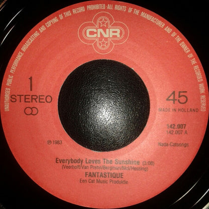 Fantastique : Everybody Loves The Sunshine (7", Single)