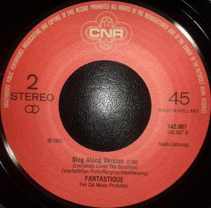 Fantastique : Everybody Loves The Sunshine (7", Single)