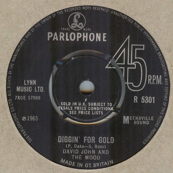 David John And The Mood* : Diggin' For Gold (7")