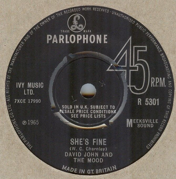 David John And The Mood* : Diggin' For Gold (7")