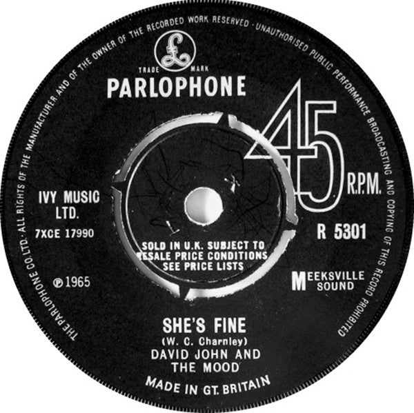 David John And The Mood* : Diggin' For Gold (7")