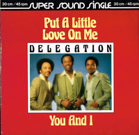 Delegation : Put A Little Love On Me / You And I (12", Single)