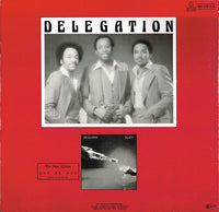 Delegation : Put A Little Love On Me / You And I (12", Single)