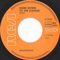 Grapefruit : Deep Water (7", Single)