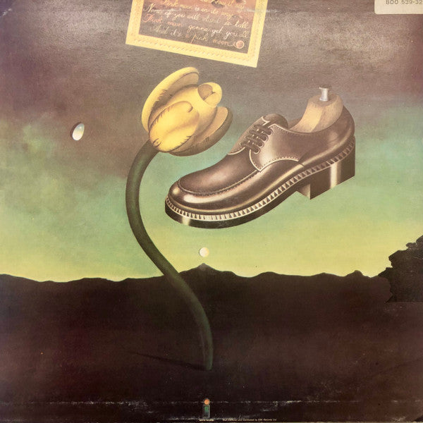 Nick Drake : Pink Moon (LP, Album, RE, RP)