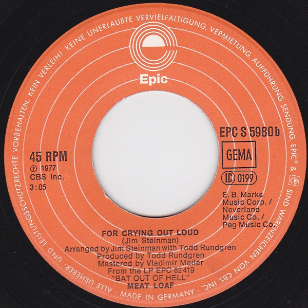 Meat Loaf : You Took The Words Right Out Of My Mouth (Hot Summer Night) (7", Single)