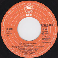 Meat Loaf : You Took The Words Right Out Of My Mouth (Hot Summer Night) (7", Single)