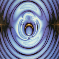 Lord Of Tranz Feat. DJ Hoxider* : Wet Dreamz (12")