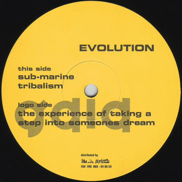 Evolution (2) : The Experience Of Taking A Step Into Someones Dream (12")
