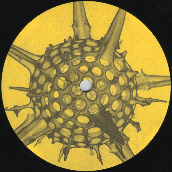 Evolution (2) : The Experience Of Taking A Step Into Someones Dream (12")