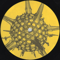 Evolution (2) : The Experience Of Taking A Step Into Someones Dream (12")